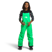 The North Face Boys' Freedom Bib Insulated Pants Front_Flat