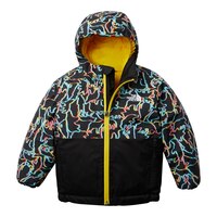 The North Face Toddler Boys' Snowquest Insulated Jacket Front_Flat