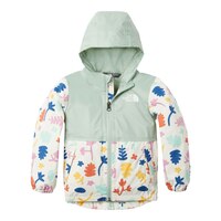 The North Face Girls' 2-6 Zipline Rain Jacket Front_Flat