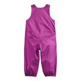 The North Face Toddlers' Antora Rain Pants Back_Flat
