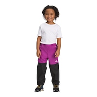 The North Face Toddler Girls' 2-6 Antora Rain Pants Front_Flat