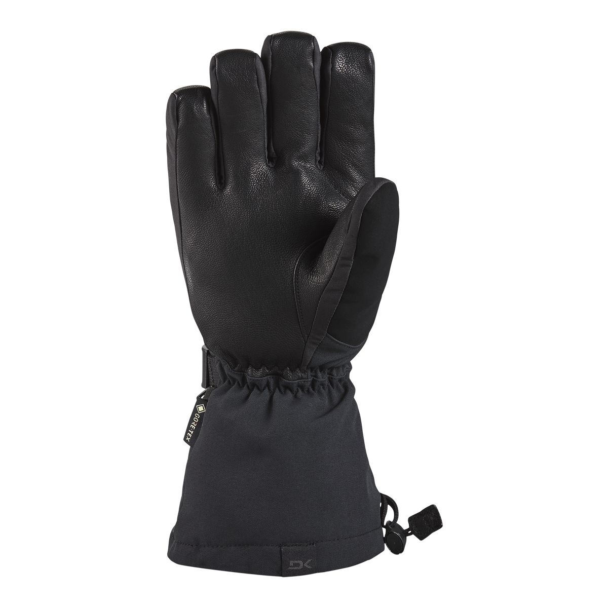 Dakine Men's Titan GORE-TEX Gloves