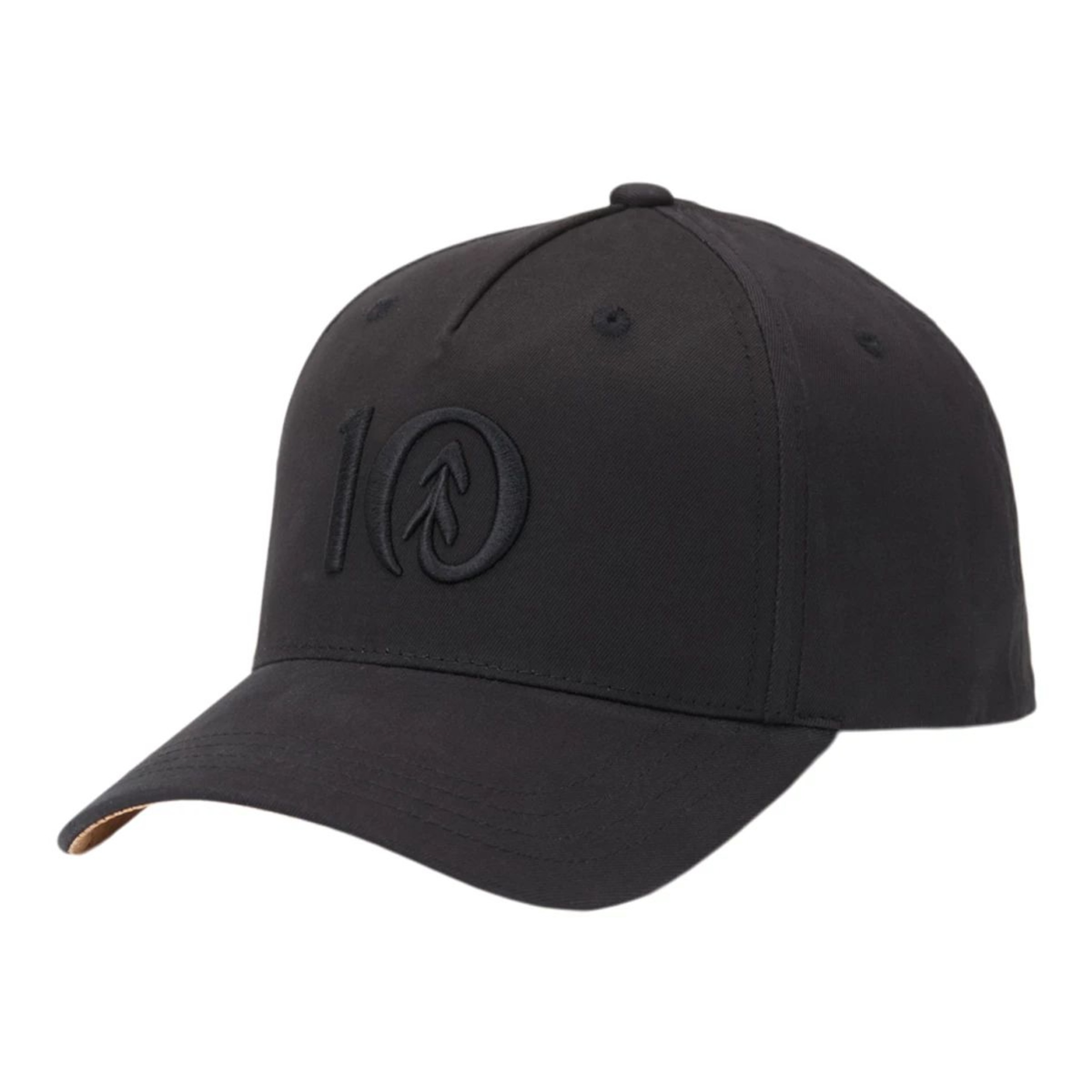 Tentree Altitude Cork Brim Snapback Hat