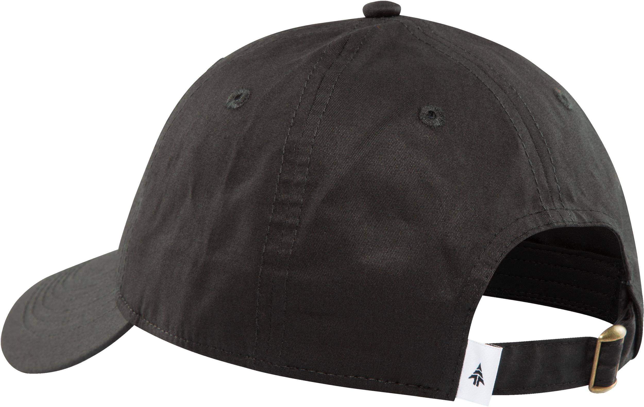 Woods Men's Icon Tent Dad Cap Back_Angled_Left