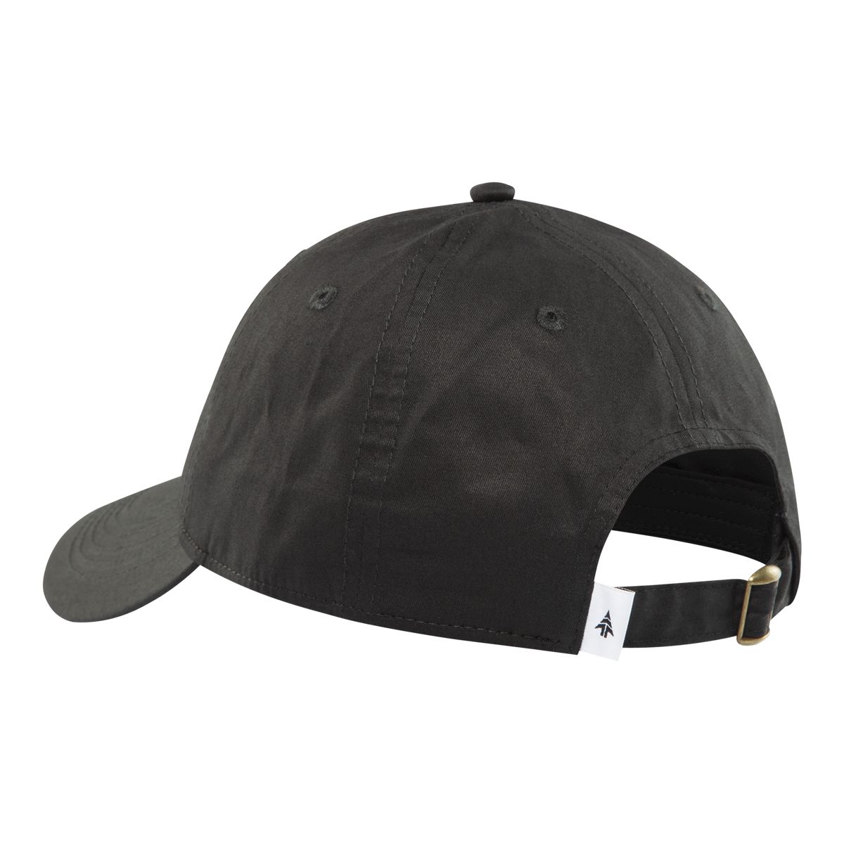 Woods Men's Icon Tent Dad Cap Back_Angled_Left