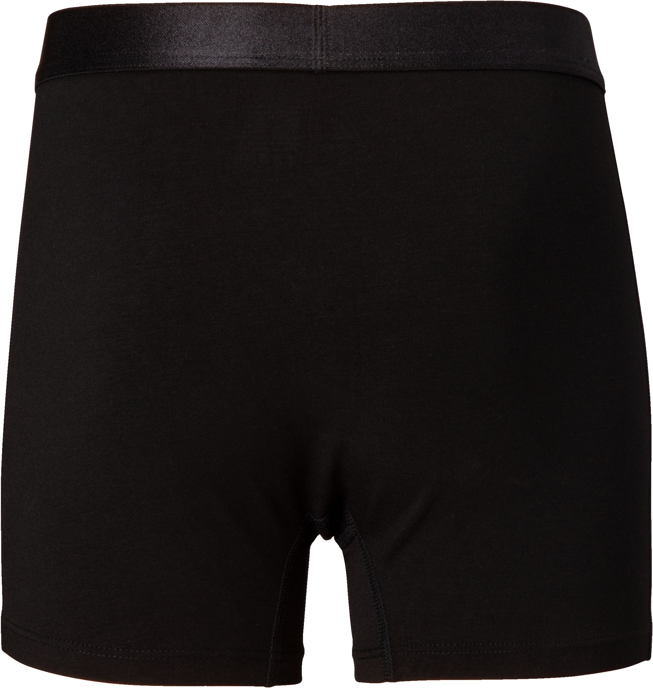 Ripzone Freestyle Men's Boxer Brief, Holiday Underwear, Moisture-Wicking, Slim Fit