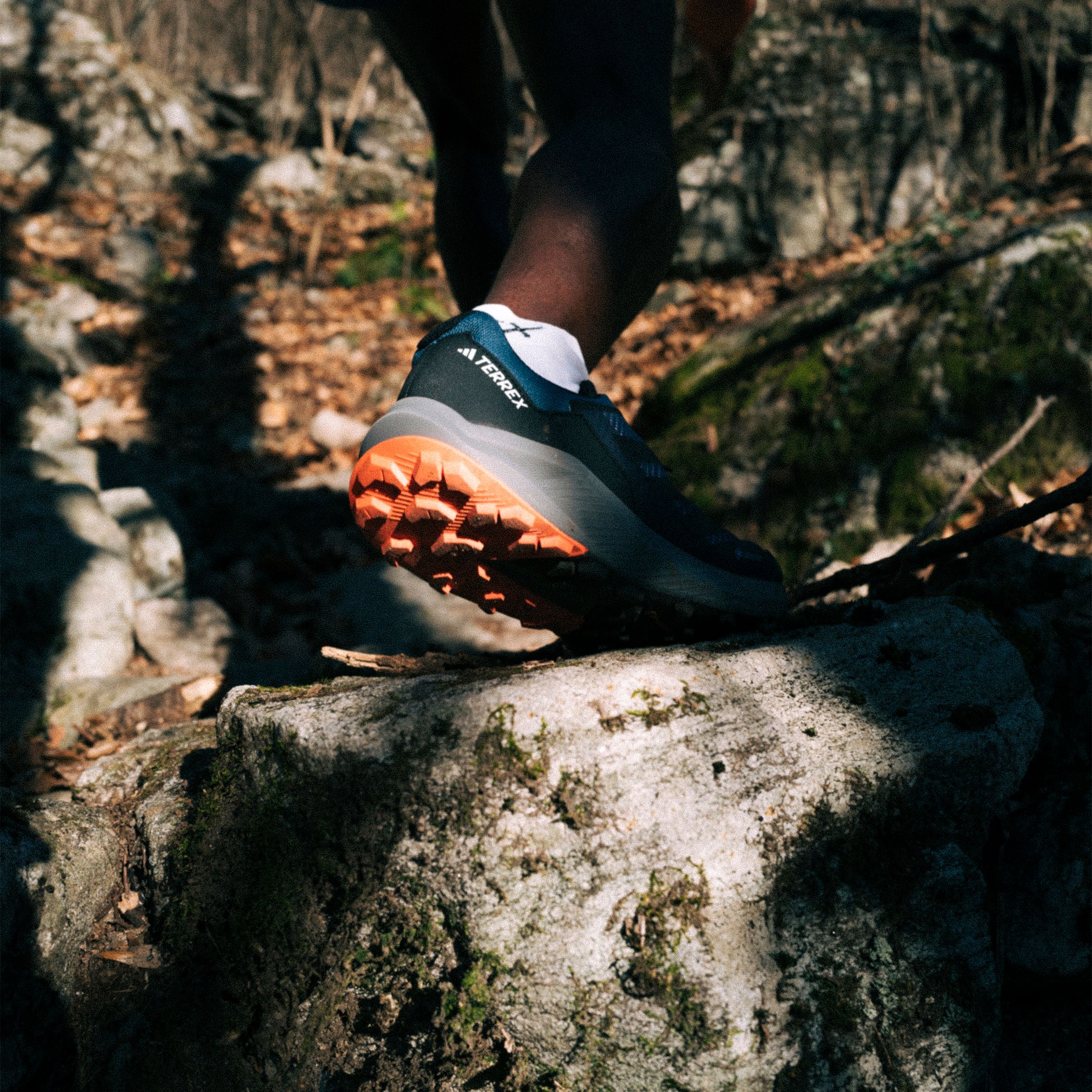 adidas Men's Terrex Trail Rider Trail Running Shoes, GORE-TEX