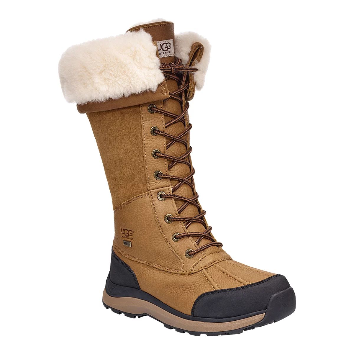 Sport chek outlet uggs