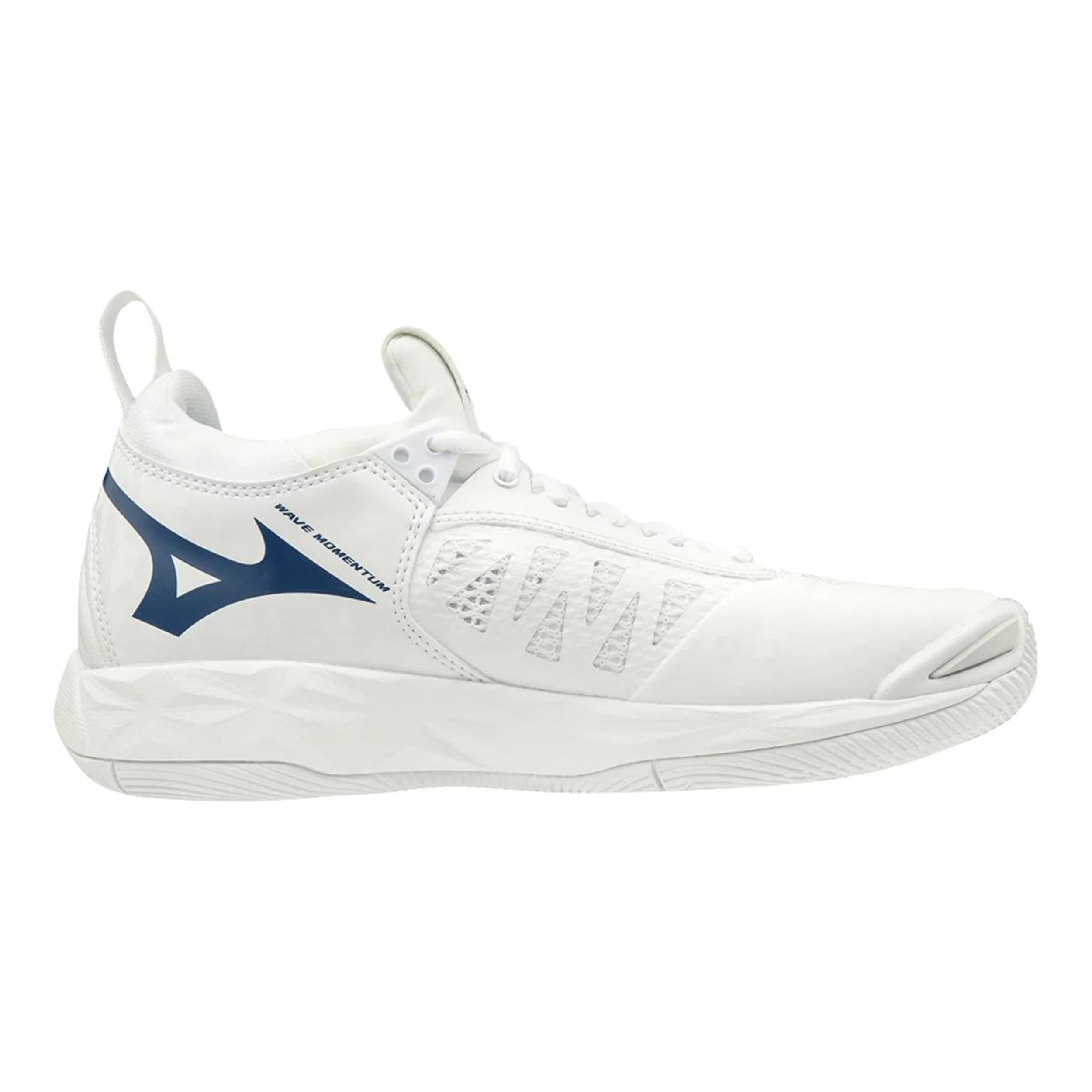 Mizuno Women's Wave Momentum Indoor Court Volleyball Shoes, Tennis, Badminton