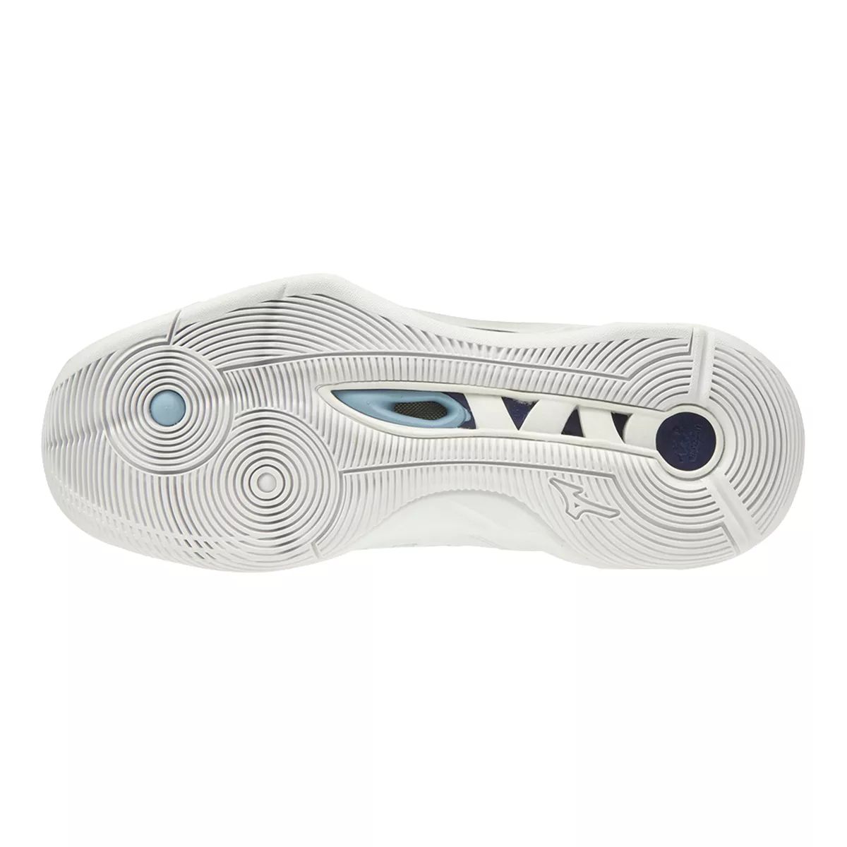 Mizuno Women's Wave Momentum Indoor Court Volleyball Shoes, Tennis, Badminton
