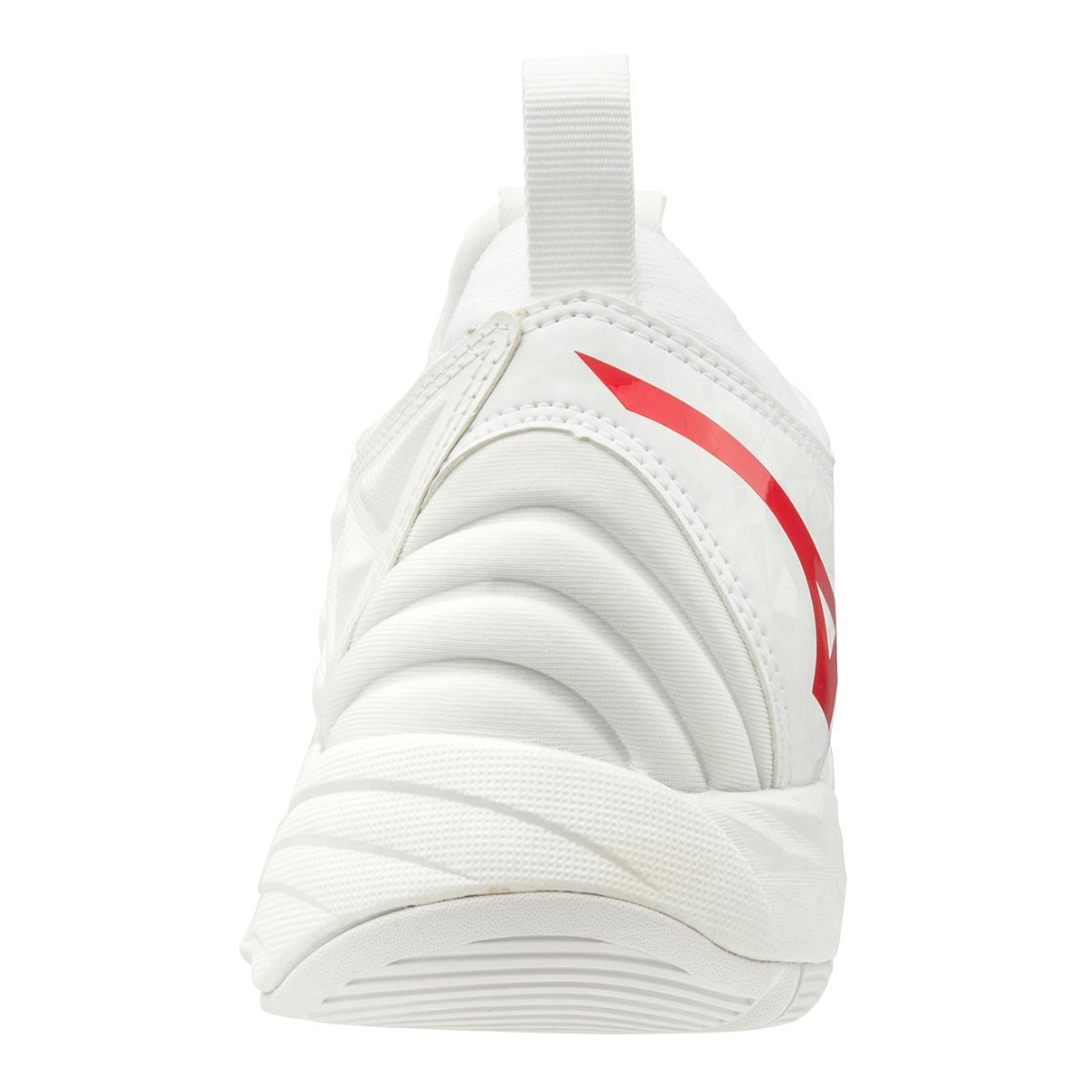 Mizuno Women's Wave Momentum Indoor Court Volleyball Shoes, Tennis, Badminton