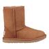 Product 1 of 7